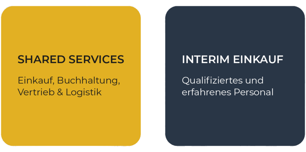 Grafik mit den Begriffen 'Shared Services' und 'Interim Einkauf' in verschiedenen Kästen.