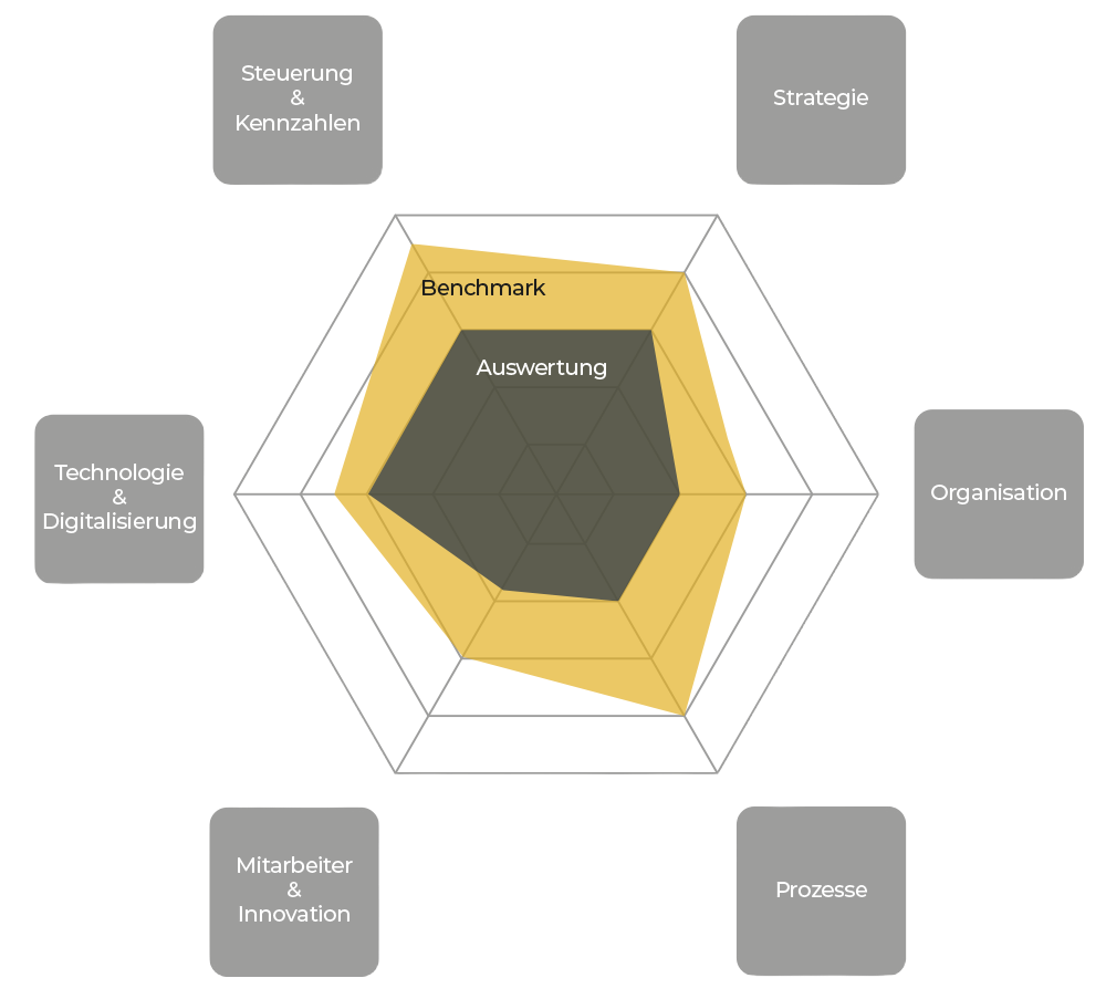 Grafik mit einer sechseckigen Darstellung von Kategorien zur Transformation, einschließlich Benchmark und Auswertung.