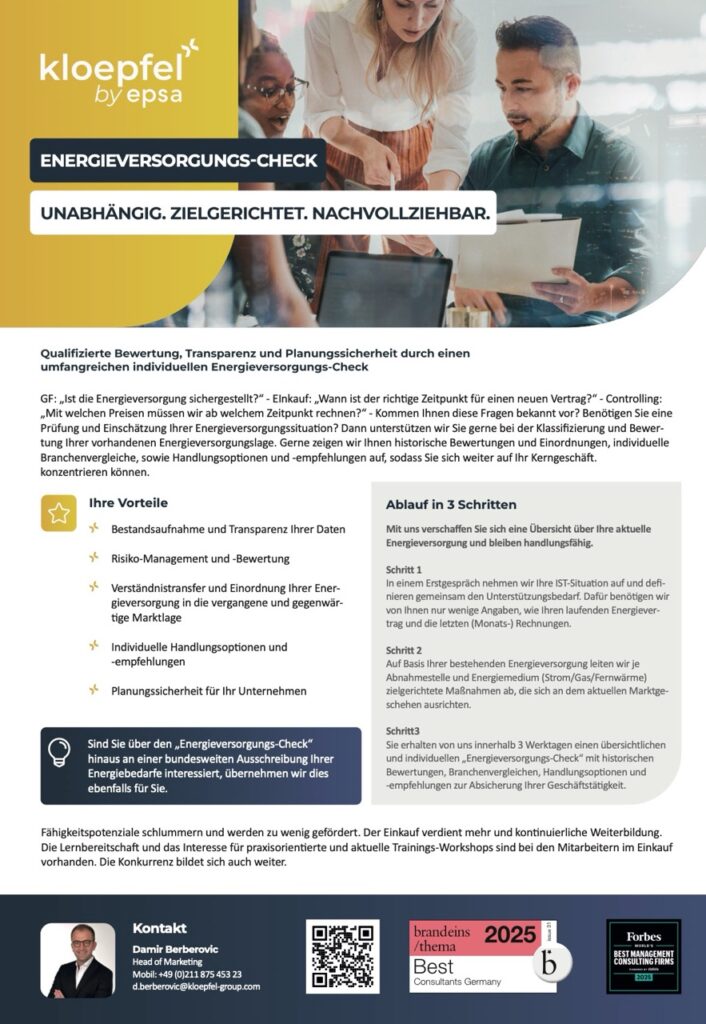 Informationsblatt über den Energieversorgungs-Check von KLOEPFEL mit verschiedenen Abschnitten und Grafiken.